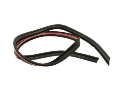 GM 15113131 Drip Weatherstrip