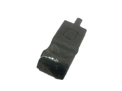 GM 15844618 Lock Knob