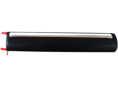 GM 88944484 Body Side Molding