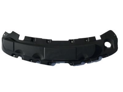 GM 23117555 Sight Shield