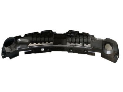GM 23117555 Sight Shield