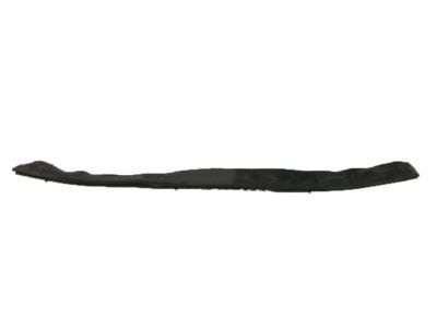 GM 25925190 Seal Asm-Hood Front