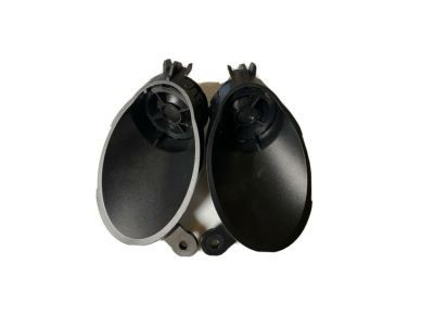 GM 13240950 Rear Door Speaker