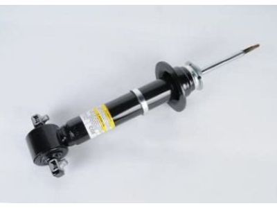 GM 20955500 Strut