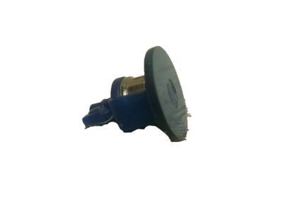 GM 21021808 Harness Nut