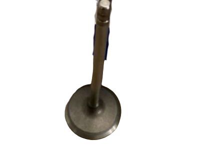 GM 12575351 Intake Valve