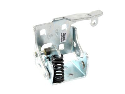 GM 20969645 Lower Hinge