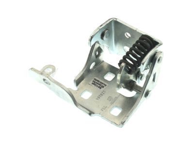 GM 20969645 Lower Hinge