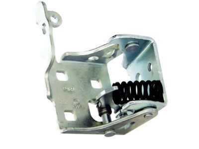 GM 20969645 Lower Hinge