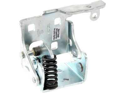 GM 20969645 Lower Hinge