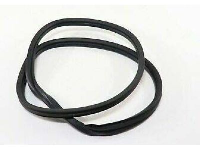 GM 20963245 Glass Weatherstrip