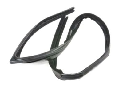 GM 10294036 Run Weatherstrip