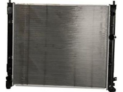 GM 19259459 Radiator Assembly