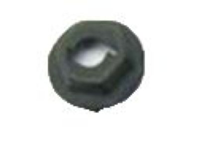 GM 11513575 Emblem Nut