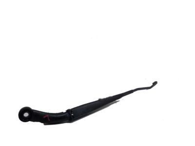 GM 88958241 Arm Asm, Windshield Wiper