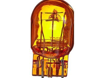 GM 13579188 Park Lamp Bulb