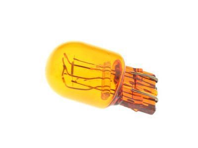 GM 13579188 Park Lamp Bulb