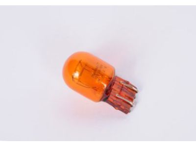 GM 13579188 Park Lamp Bulb