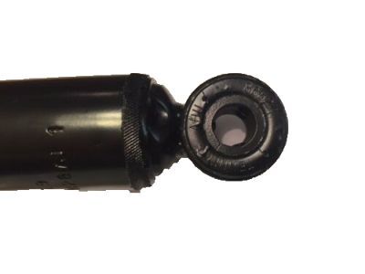 GM 19209331 Shock