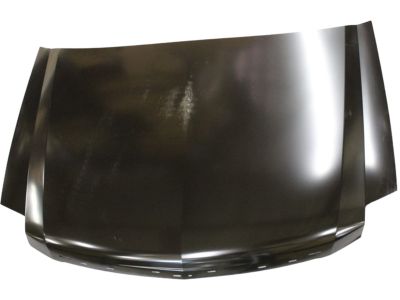 GM 15945915 Hood