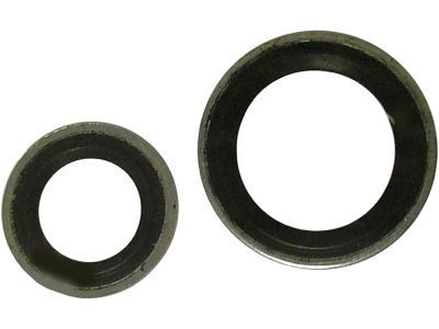 GM 10313109 Seal Kit