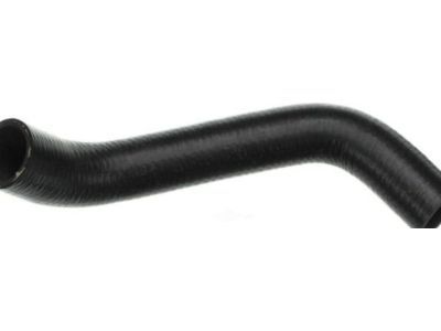 GM 10359363 Lower Hose