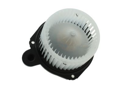 GM 89018747 Fan & Motor