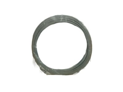 GM 25993755 Seal Strip