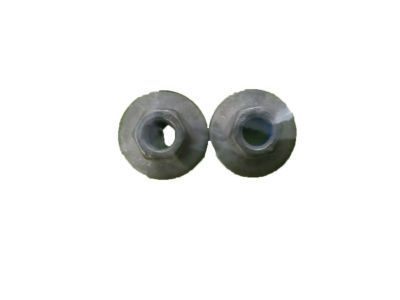 GM 11602012 High Mount Lamp Nut