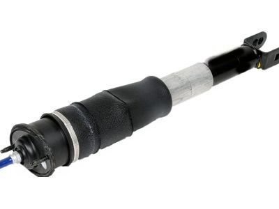 GM 19302795 Shock