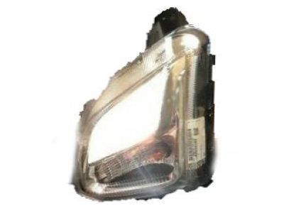 GM 84226249 Lamp Asm-Front Fog