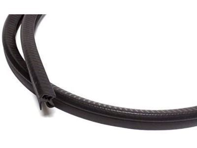 GM 22614342 Weatherstrip Asm-Roof Side Rail