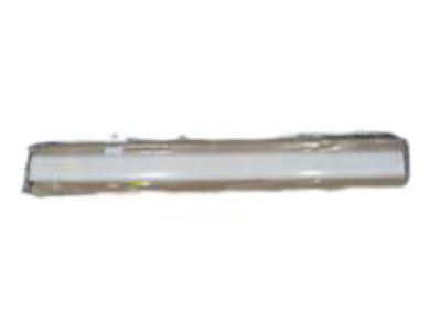 GM 30022984 Molding, Side Center, RH (On Esn) *Gray