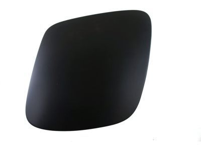 GM 10319954 Headlamp Door