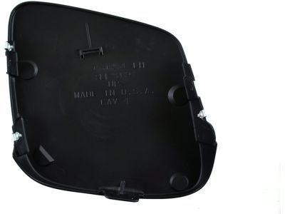 GM 10319954 Headlamp Door