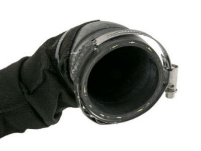 GM 19351811 Lower Hose