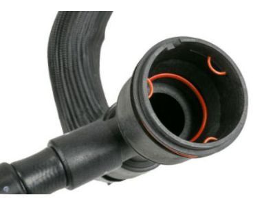 GM 19351811 Lower Hose