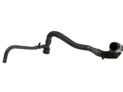 GM 19351811 Lower Hose