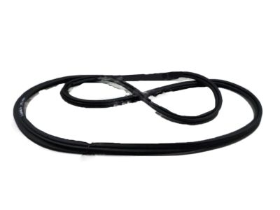 GM 20909102 Weatherstrip