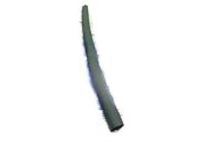 GM 25634571 Lower Weatherstrip