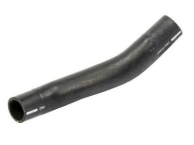 GM 21999765 Lower Hose