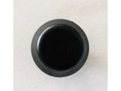 GM 55354919 Cap-Trans Vent