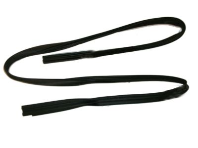 GM 21096820 Weatherstrip, Front Side Door