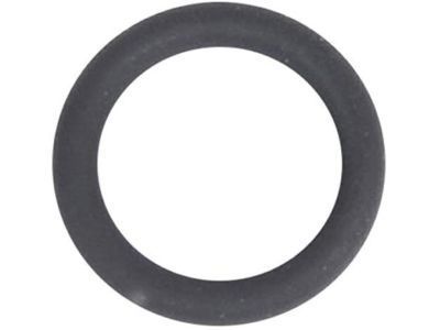 GM 55594385 Dipstick Seal