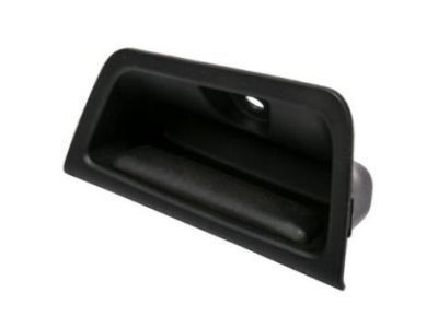GM 15952900 Pull Handle