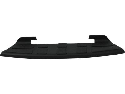 GM 15720781 Step Pad