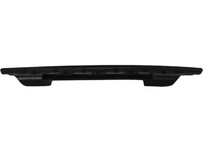 GM 15720781 Step Pad