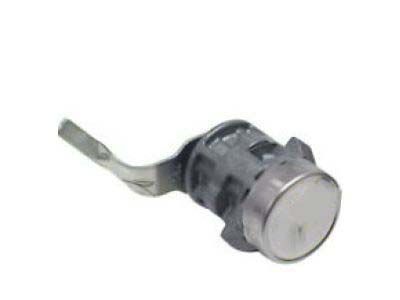 GM 12382962 Cylinder, End Gate Lock