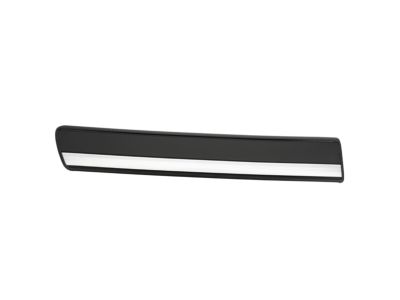 GM 15199295 Body Side Molding