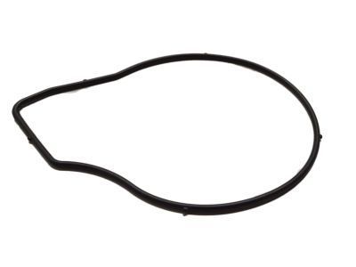 GM 24446365 Water Pump Assembly Seal